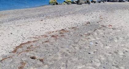 1BR Alloggio Apartment