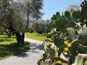 Áreas de la propiedad