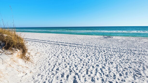 Une plage de sable où l’on peut voir des empreintes menant à l’eau.
