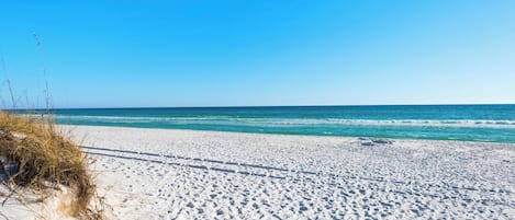 Playa en los alrededores