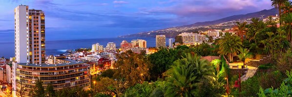 Un paisaje urbano costero con rascacielos, desarrollo urbano denso y una montaña destacada al fondo.