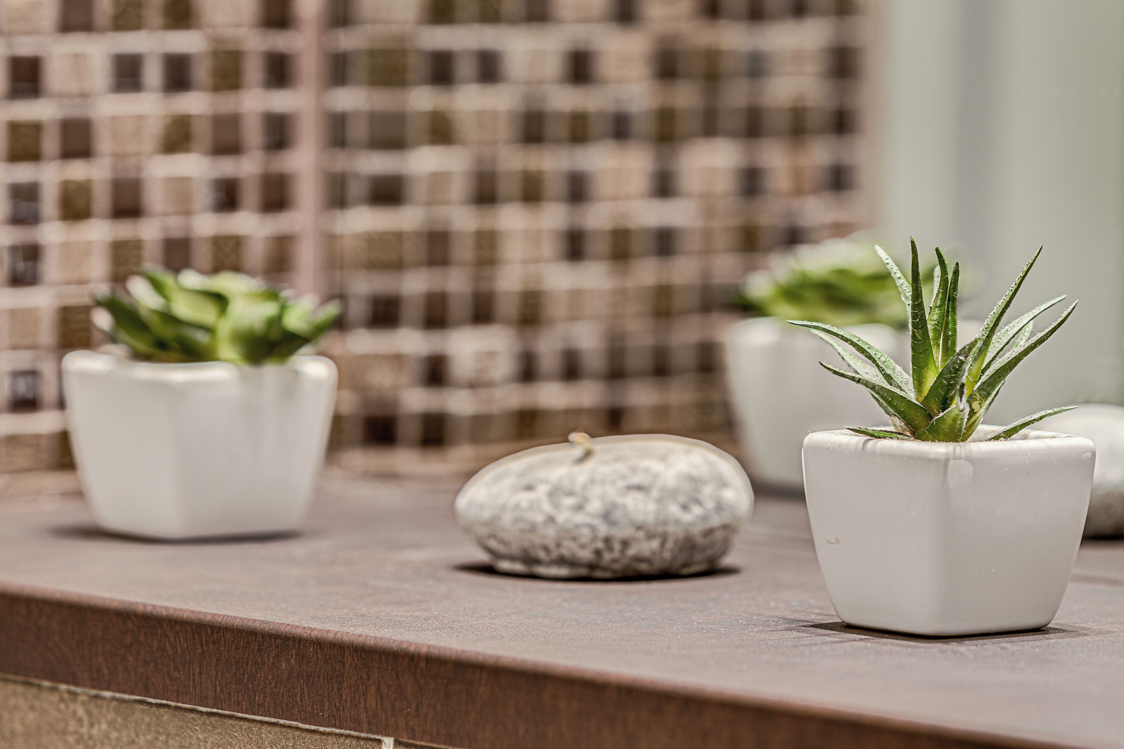 Three potted plants on a wooden ledge with a checkered tile wall in the background.