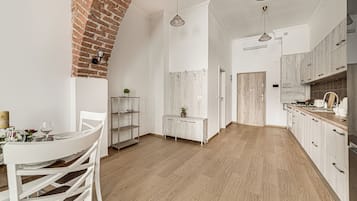 Superior Apartment, 1 Queen Bed with Sofa bed, Kitchen | Private kitchen | Full-size fridge, oven, stovetop, coffee/tea maker