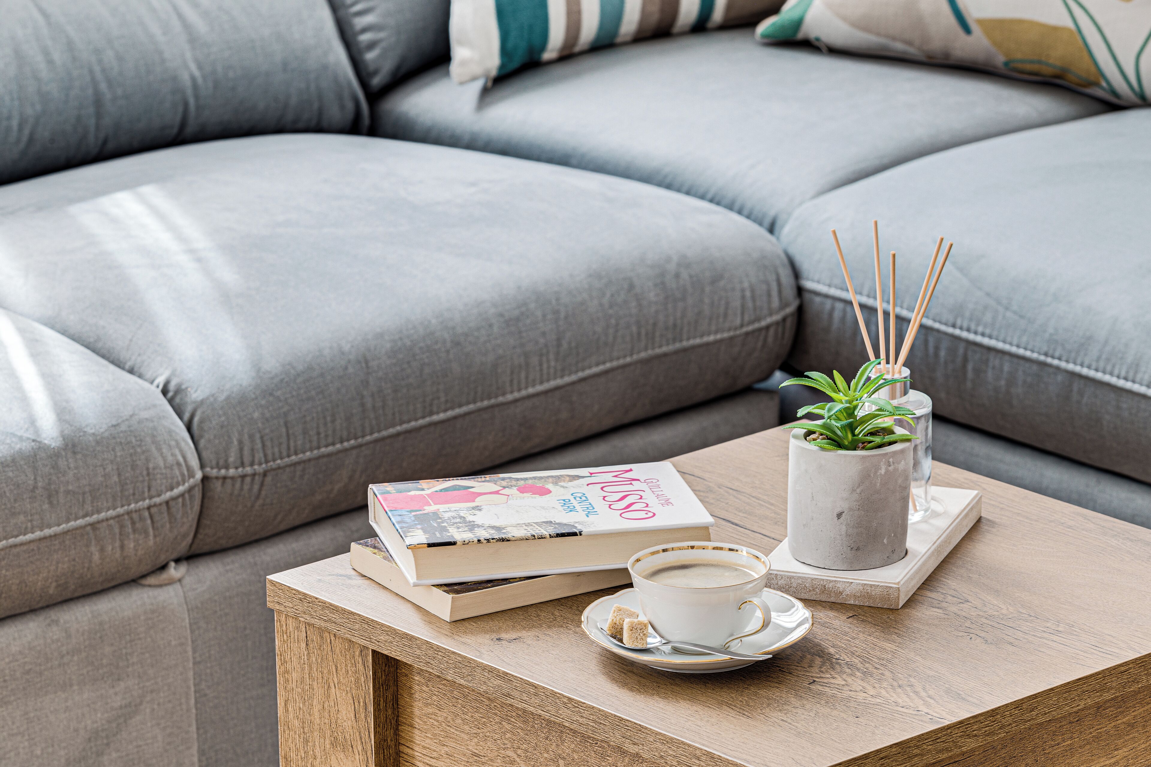 A cozy living area with a grey sofa, a wooden coffee table, a white coffee cup, a book, and a small potted plant with reed sticks.