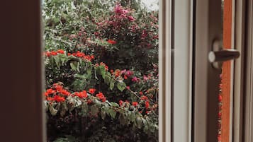 Premium Room | Wi-fi percuma