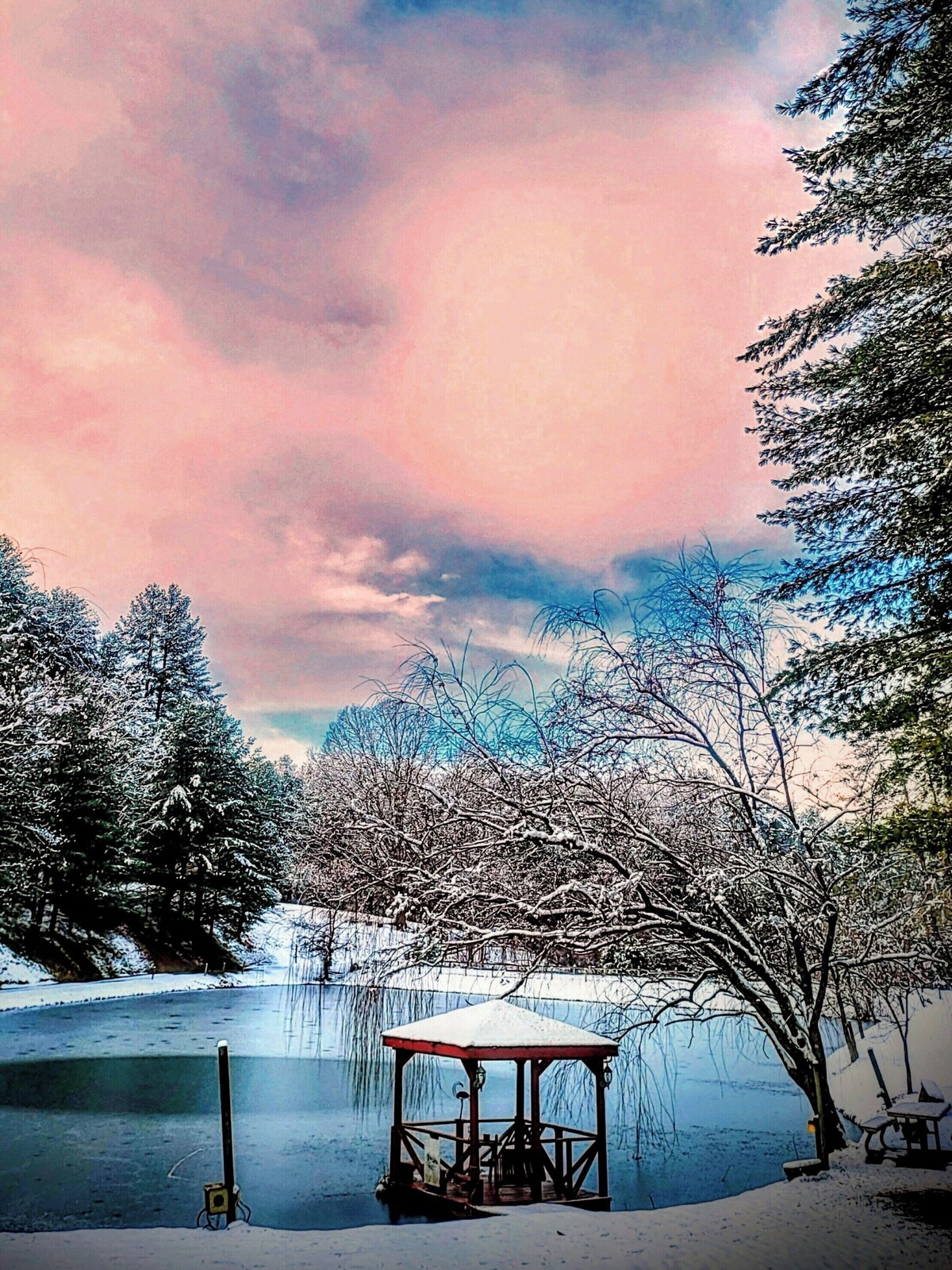 Imagen de perfil del propietario o de la propietaria