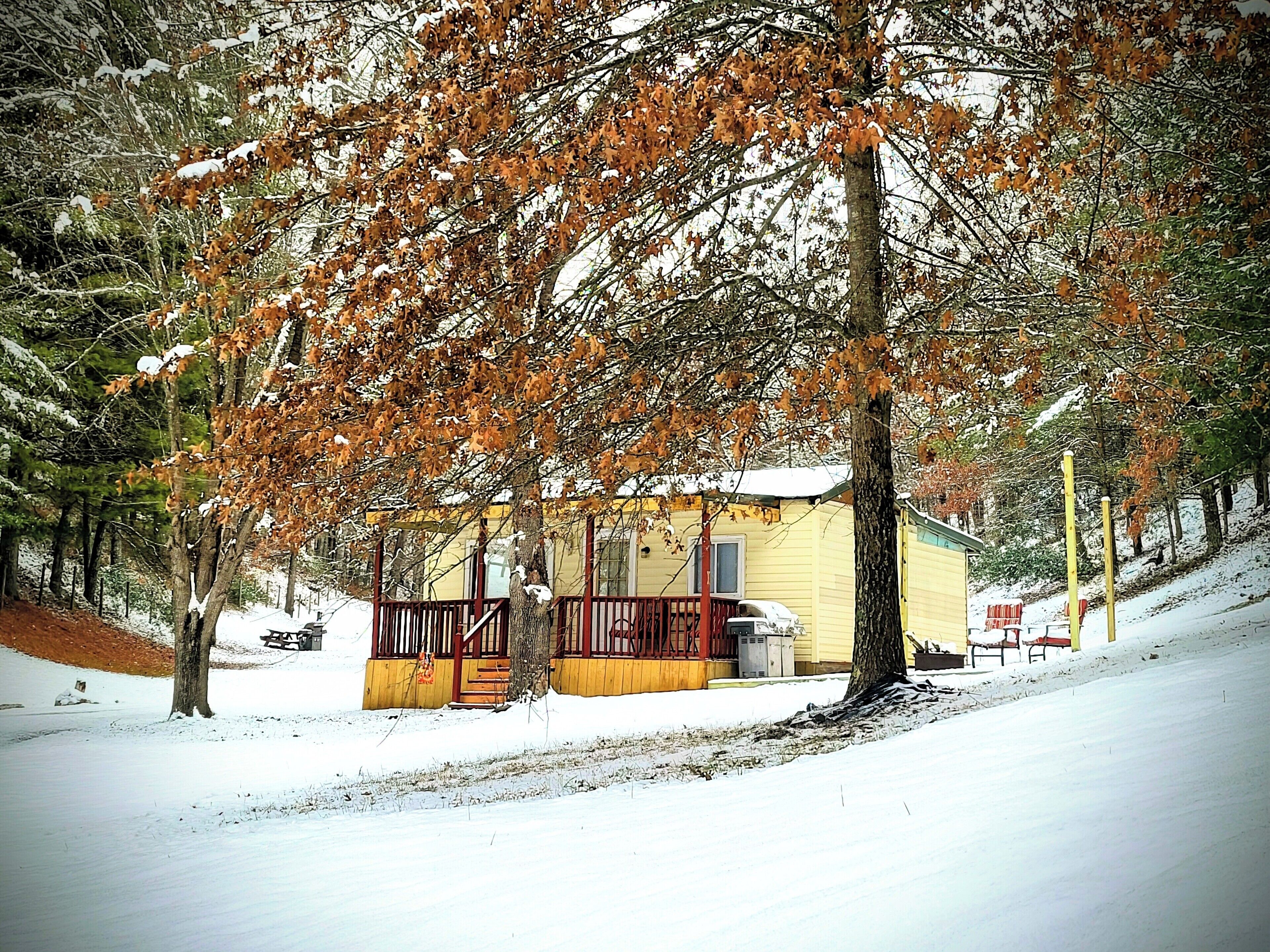 A small yellow cabin with a red porch, surrounded by snow-covered trees and a snowy landscape.
