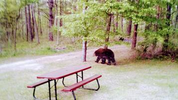 Enceinte de lâhĂ©bergement