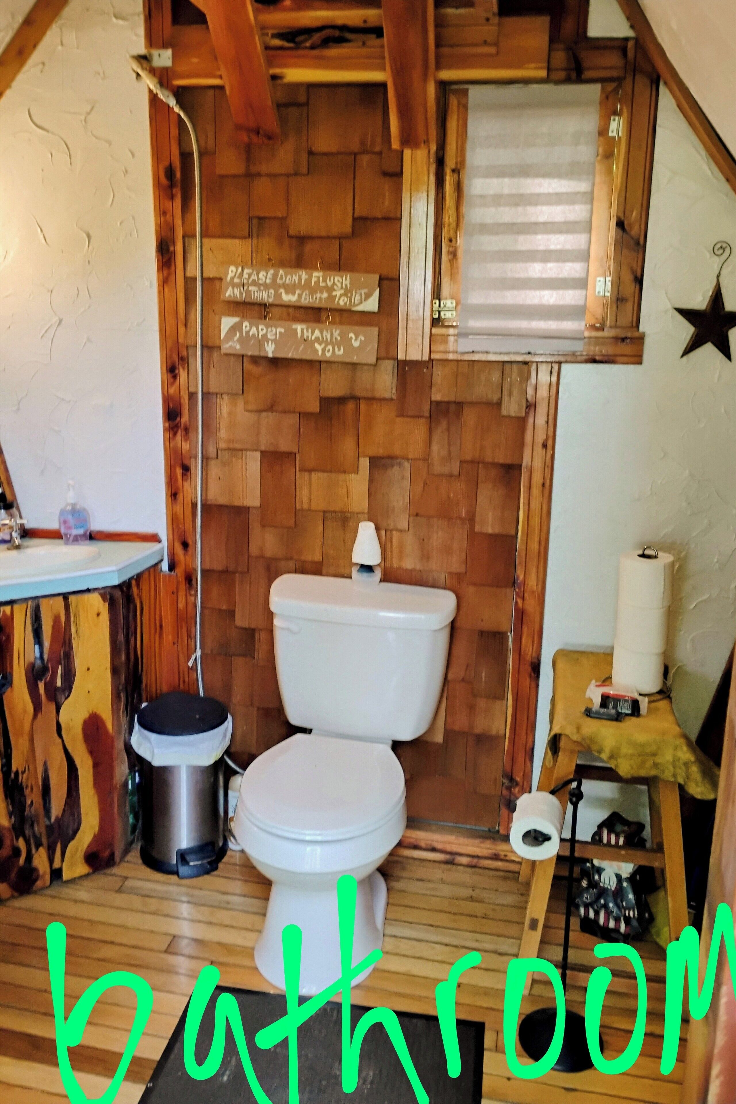 Shower, towels, soap, toilet paper