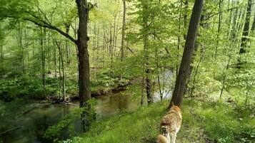 Enceinte de lâhĂ©bergement