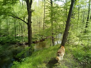 Terrain de l’hébergement 