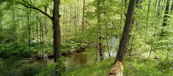 Howling Lane Tenting