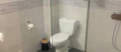 A bathroom with a toilet, a glass shower enclosure, and a hand dryer.