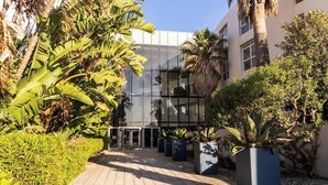 A modern building with a glass facade, surrounded by a paved walkway and various tropical plants. - Holiday Apartment, Lagoon Beach (Cape Town)