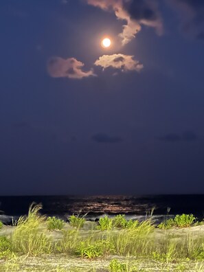 Miscellaneous - Book your Summer fun weeks early! Early discounts apply! (Ocean City)