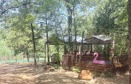 Conestoga Wagon 1 - experience wild west luxury meets wildlife encounters!