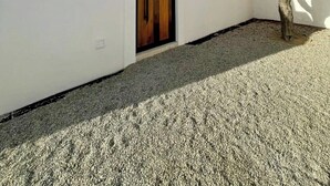 A modern building with a white exterior, a wooden door, and a large cactus in the foreground. - 🌴Elegant Villa with Private Pool in Los Cabos☀️️ B.C.S, Mexico. (El Tezal)