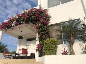 A modern building with a covered patio, outdoor seating, and lush greenery.