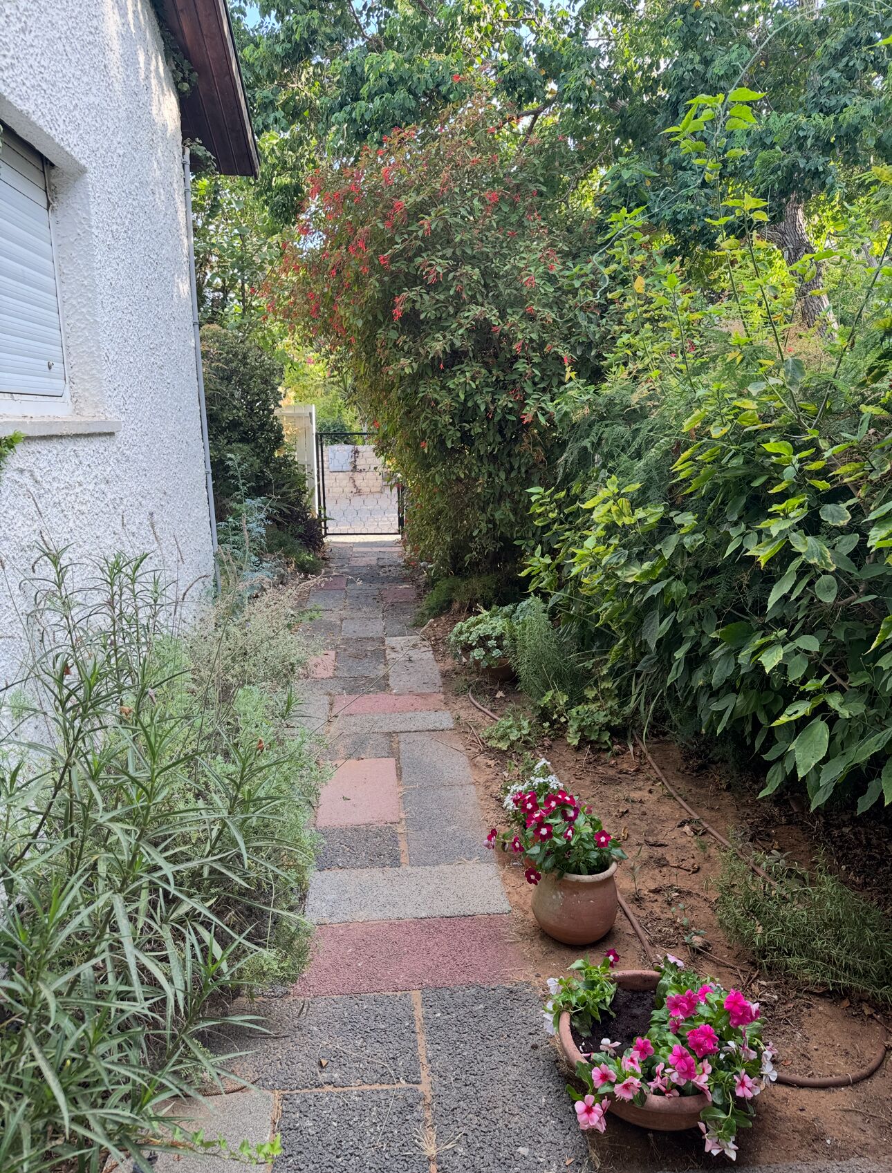 Áreas de la propiedad