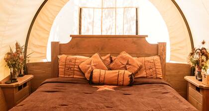 Conestoga Wagon 2 -Wildlife Encounters and a Wild West Wagon!