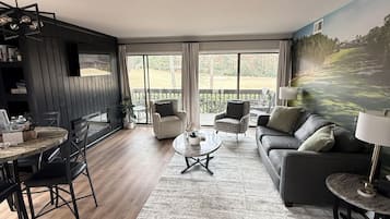 Smart TV, fireplace, books, computer monitors