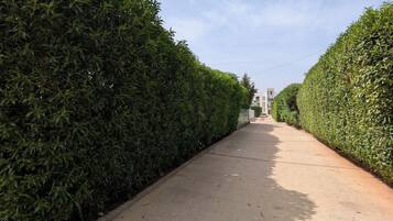 المنطقة المحيطة بالمنشأة