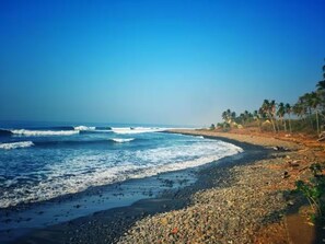 A beach with waves, pebbles, and palm trees. - Marshall Oceanfront Surf House - Infinity pool ocean view - 3 bedroom - AC  Wifi (Estela Maris)