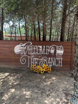 المنطقة المحيطة بالمنشأة