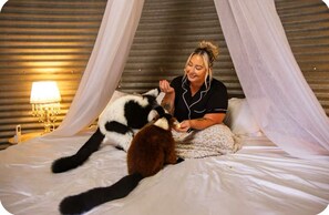 1 غرفة نوم ومكتب ومكواة/لوح كي وواي فاي مجانًا