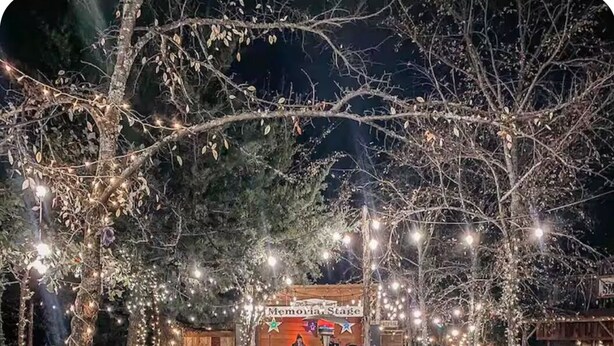 An outdoor seating area with wooden chairs and tables, decorated with string lights, under a tree canopy. - Seven Star Silo - stay in luxury while you take in the tranquility of the Ranch! (Valley View)