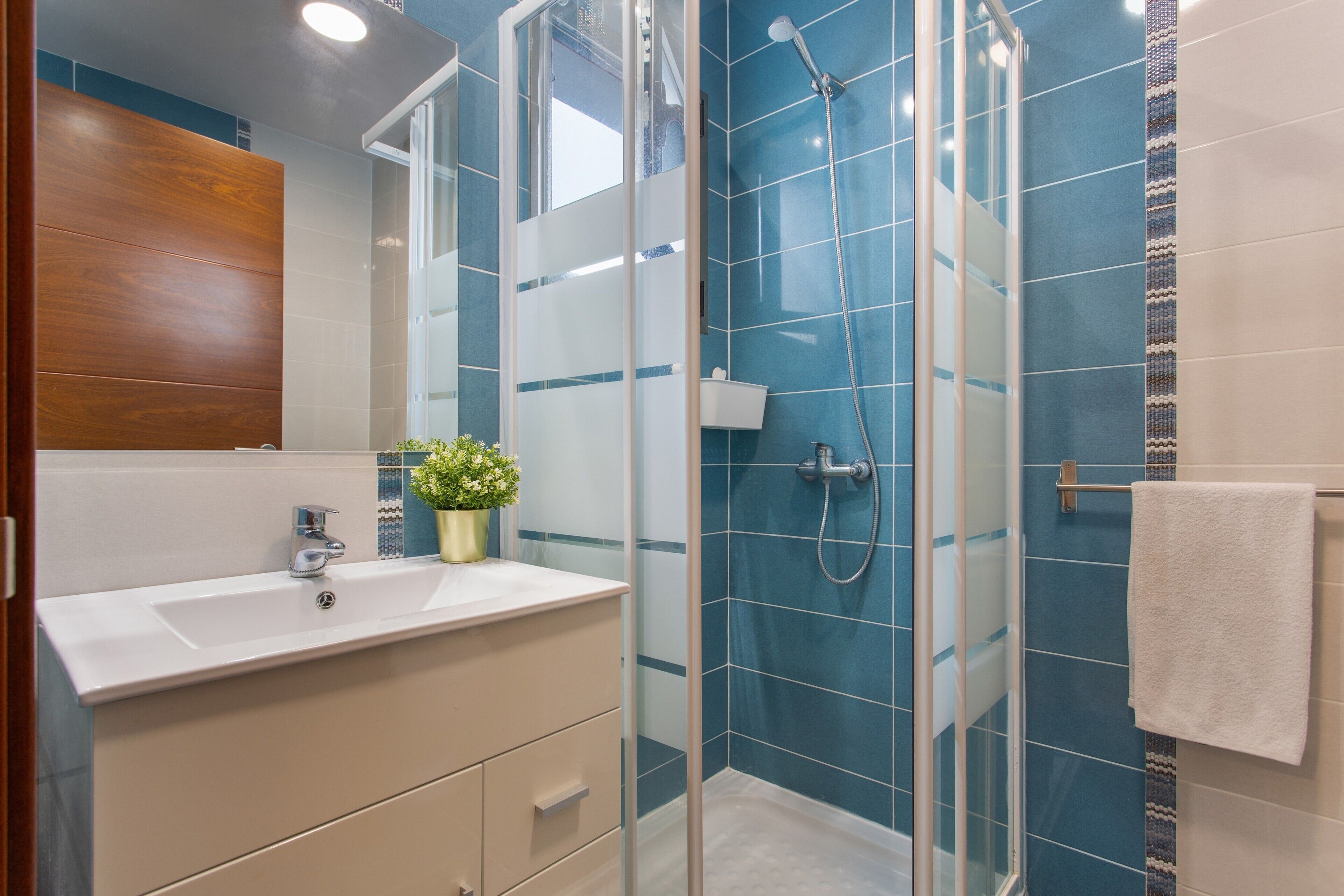 Shower, hair dryer, towels