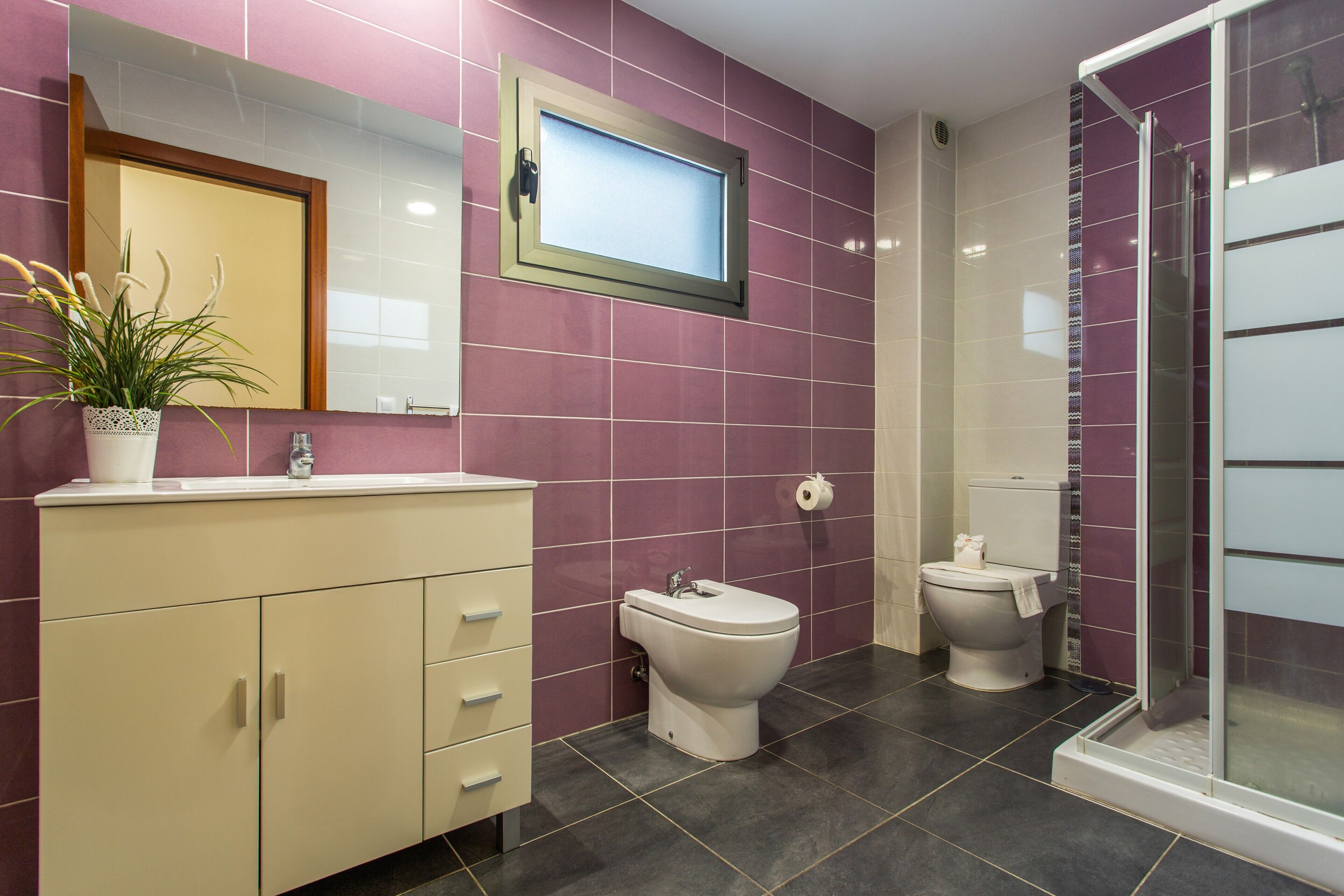 A bathroom with a toilet, bidet, and shower.