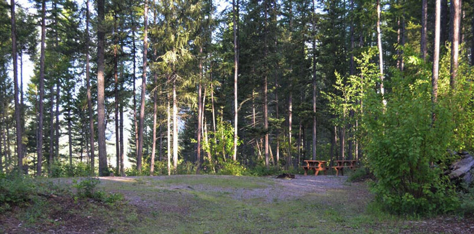 Une zone boisée avec des tables de pique-nique et un sentier de gravier.