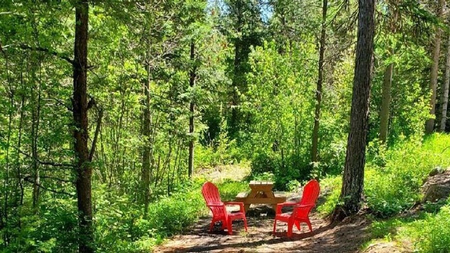 Timber Wolf Resort & Jeep Rentals
