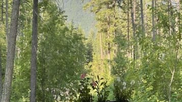 Cabaña estándar, vista a la montaña | Terraza o patio