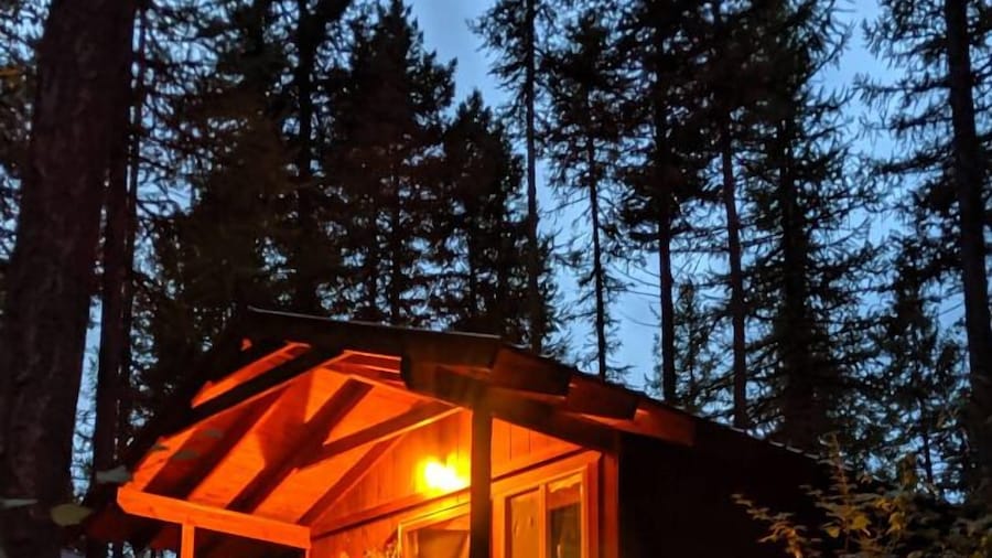 Timber Wolf Resort & Jeep Rentals