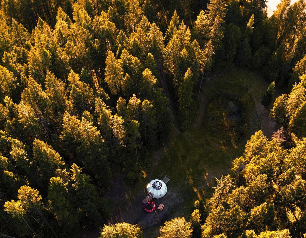 An aerial view of a forest with a white spherical structure in the center.
