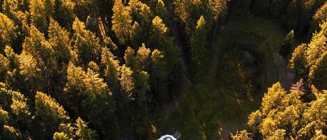 An aerial view of a forest with a white spherical structure in the center.