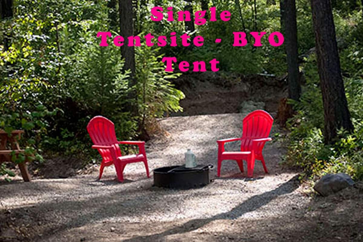 Barraca standard | Wi-Fi de cortesia