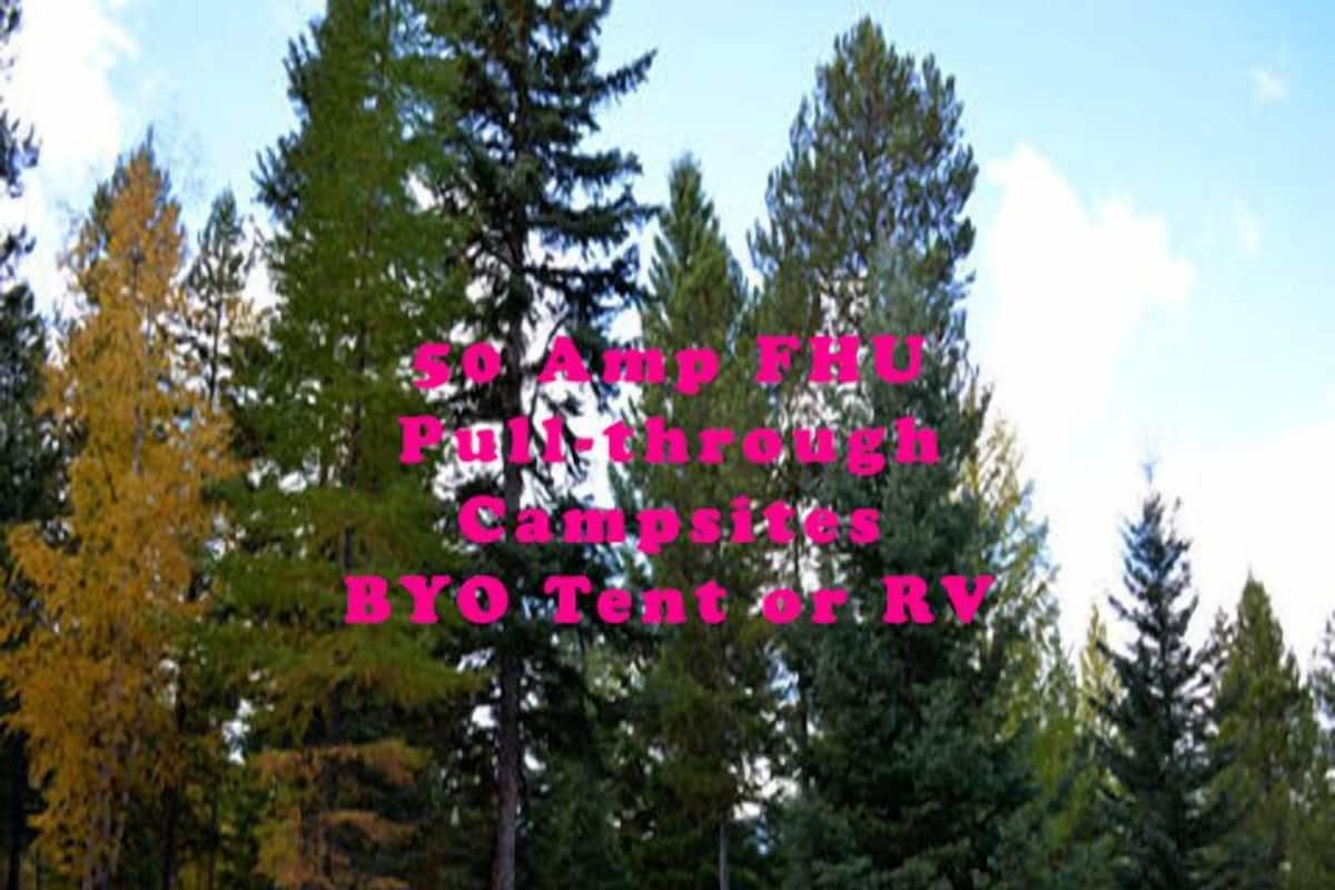 Barraca standard | Wi-Fi de cortesia