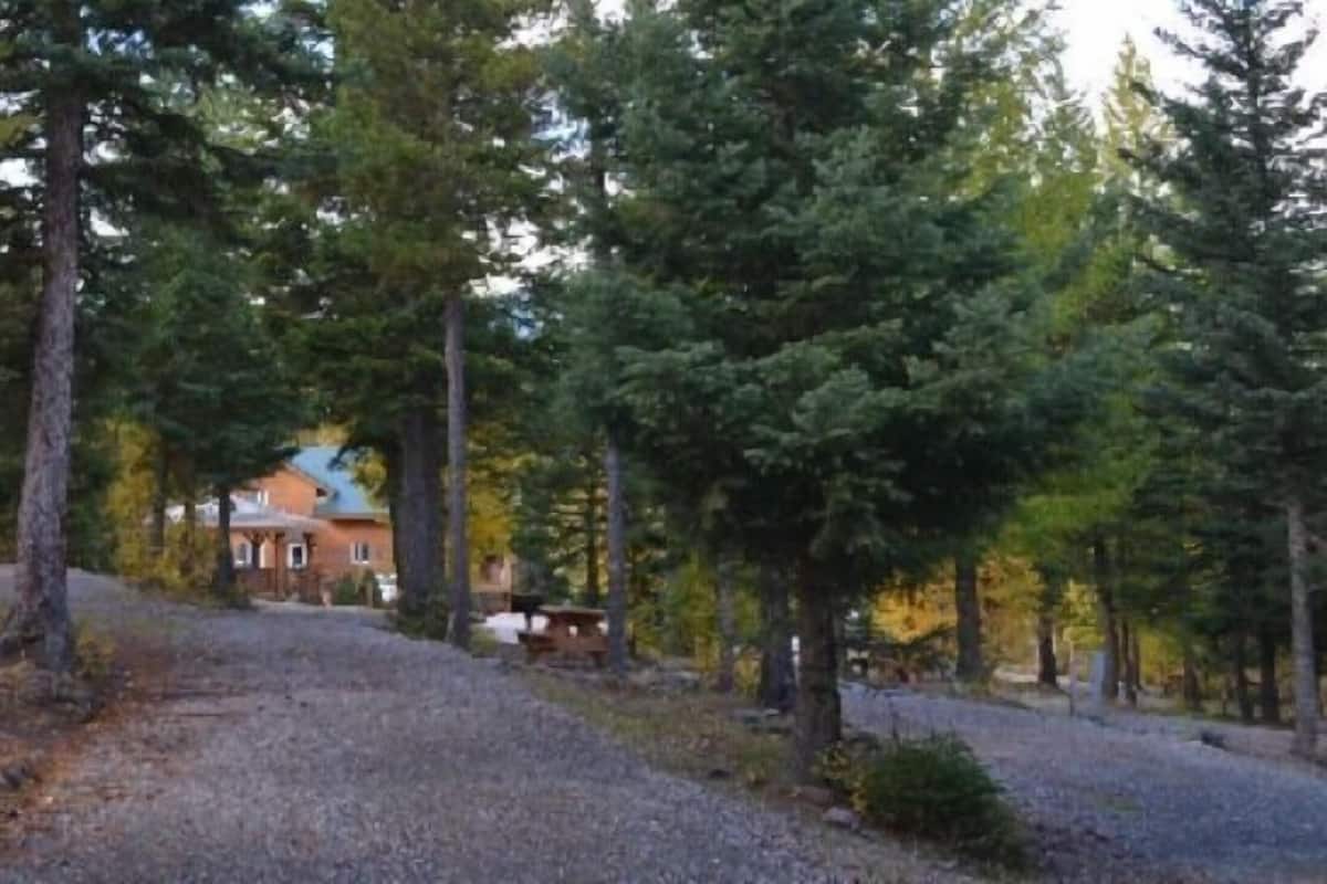 Standard Tent | Living area