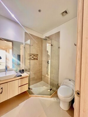 Shower, towels, toilet paper