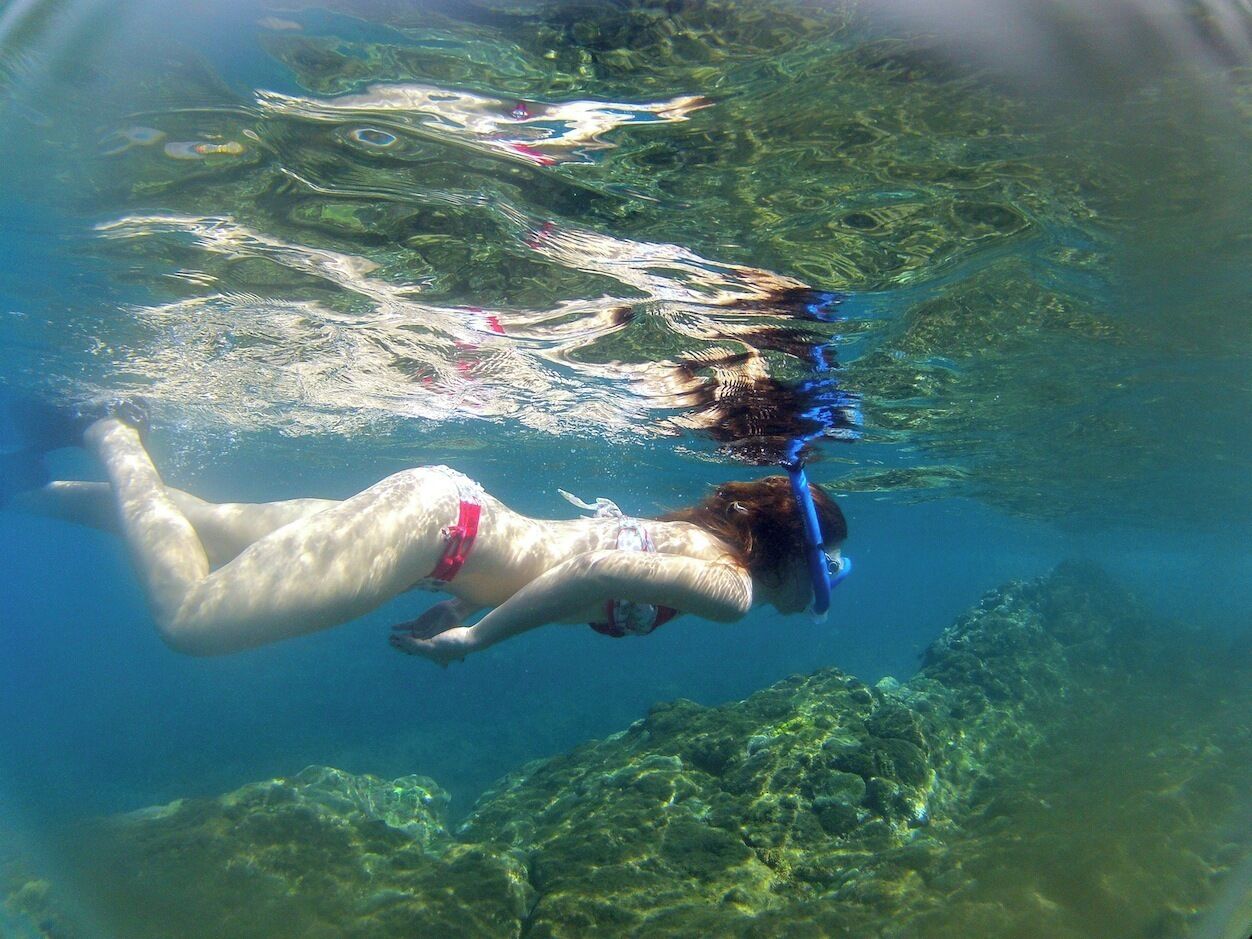 A person swimming underwater with a dog.