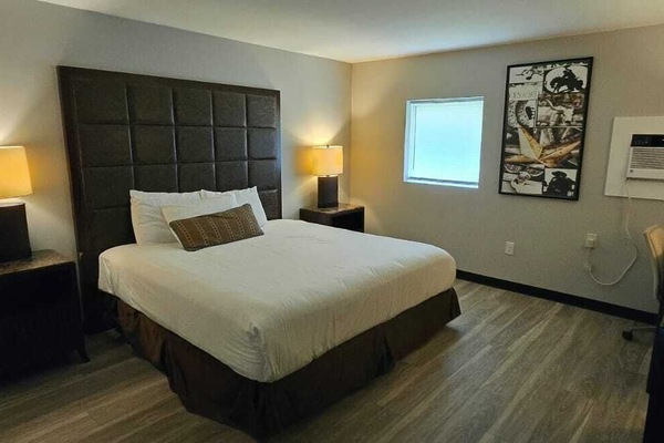 Room, 1 King Bed, Non Smoking | Desk, iron/ironing board (on request), WiFi (free), bed sheets