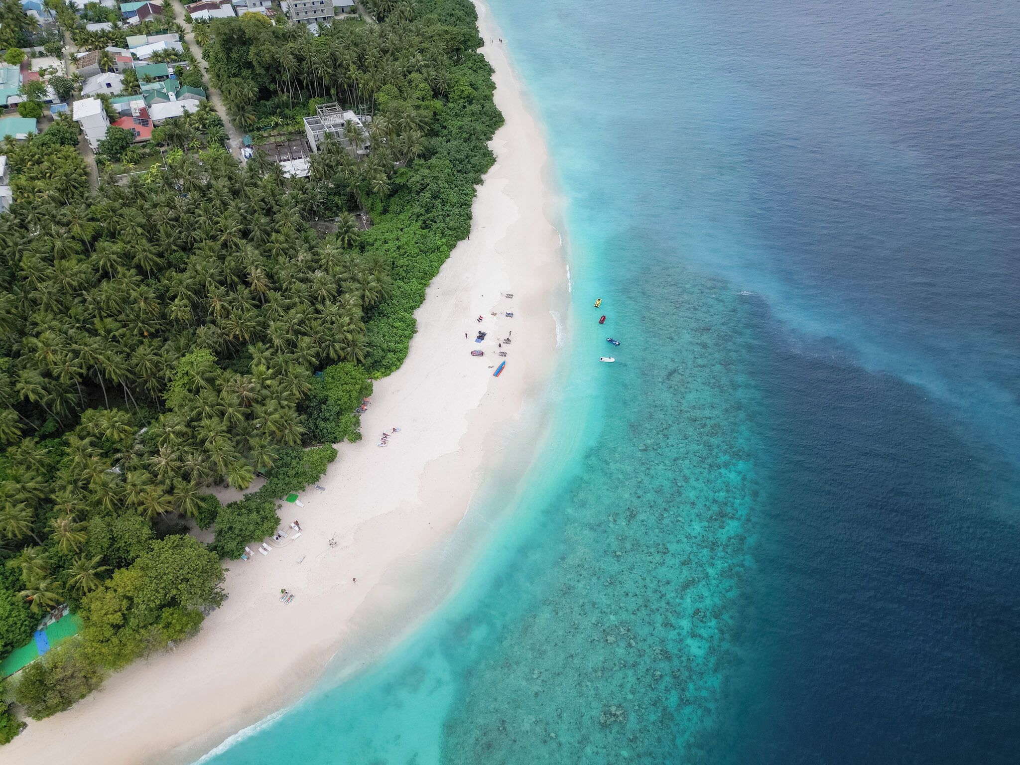 Vista aérea de una playa con aguas turquesas cristalinas, una orilla arenosa y densa vegetación tropical.