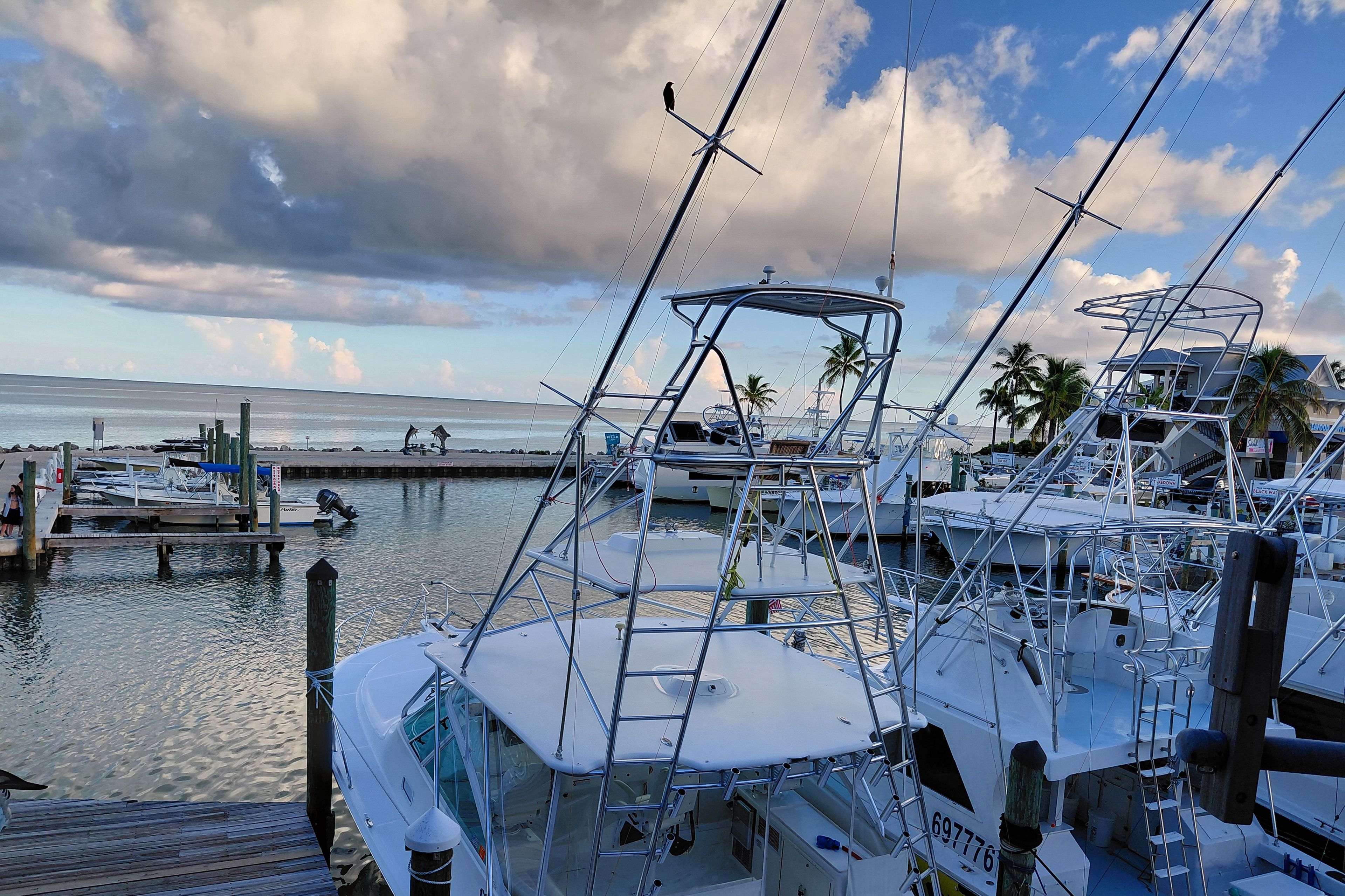 A marina with multiple boats docked, a wooden pier, and a view of the ocean.