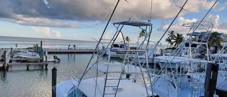A marina with multiple boats docked, a wooden pier, and a view of the ocean.