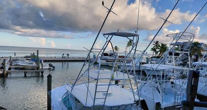 OCEANVIEW, ISLAMORADA - newly refreshed concrete conch cottage & tiki