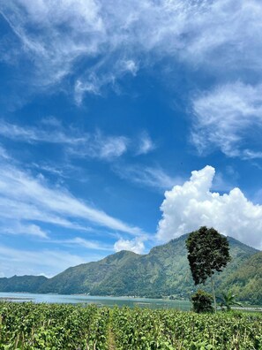 View from property - Batur Sunsun Kintamani By Zuzu (Kintamani)