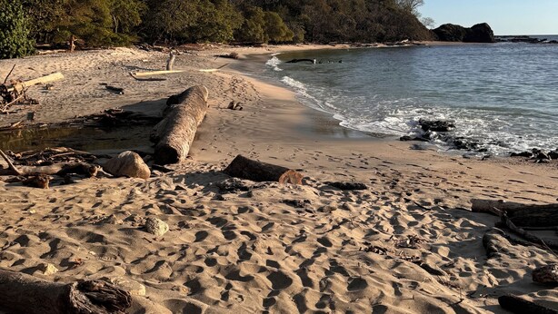 Una playa arenosa con huellas visibles, un tronco grande y un mar tranquilo.